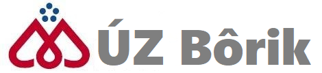 Logo Hotela Bôrik